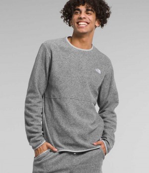 The North Face Alpine Polartec® 100 Crew Sweatshirt Erkek Gri | TÜRKIYE LADF