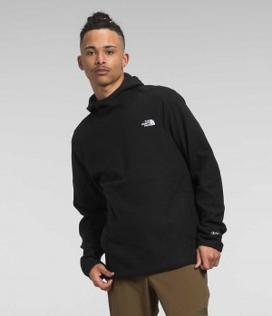 The North Face Alpine Polartec® 100 Sweatshirt Erkek Siyah | TÜRKIYE NUAJ