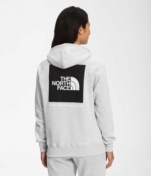 The North Face Box NSE Pullover Kapşonlu Kadın Açık Gri | ISTANBUL IADP