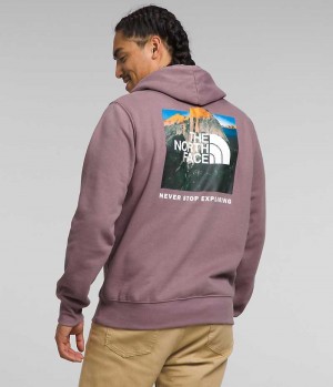 The North Face Box NSE Pullover Kapşonlu Erkek Küpe Çiçeği | TÜRKIYE VOQX