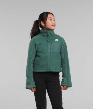 The North Face Fleece Mashup Polar Ceketler Kiz Çocuk Yeşil | TÜRKIYE PBIJ