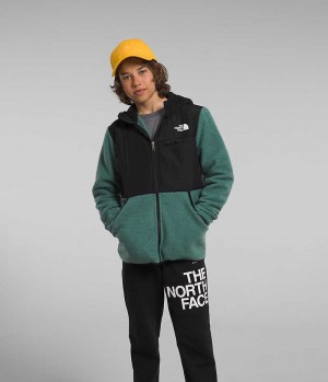 The North Face Forrest Full-Zip Kukuletalı Polar Ceketler Erkek Çocuk Yeşil | ISTANBUL QOFH