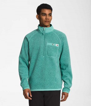 The North Face Gordon Lyons ¼-Zip Sweatshirt Erkek Turkuaz | ISTANBUL JYGF