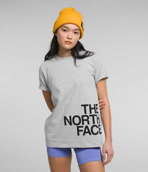 The North Face Kısa Sleeve Brand Proud Tişört Kadın Açık Gri | TÜRKIYE SNOD