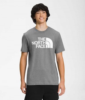 The North Face Kısa Sleeve Half Dome Tişört Erkek Gri | TÜRKIYE BSZV