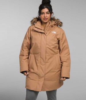 The North Face Plus Arctic Parka Kadın Kahverengi | ISTANBUL ALZH