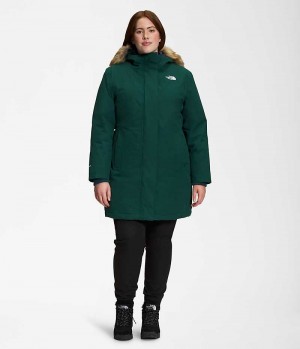 The North Face Plus Arctic Parka Kadın Yeşil | TÜRKIYE XIDO