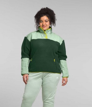 The North Face Plus Cragmont Fleece ¼-Snap Sweatshirt Kadın Yeşil | ISTANBUL MPAH