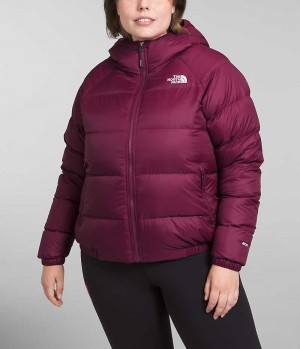 The North Face Plus Hydrenalite™ Hoodie Aşağı Ceket Kadın Kırmızı | TÜRKIYE WDIS