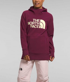 The North Face Tekno Pullover Kapşonlu Kadın Küpe Çiçeği | ISTANBUL ZWIC