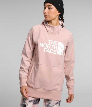 The North Face Tekno Pullover Kapşonlu Kadın Pembe | TÜRKIYE INJO