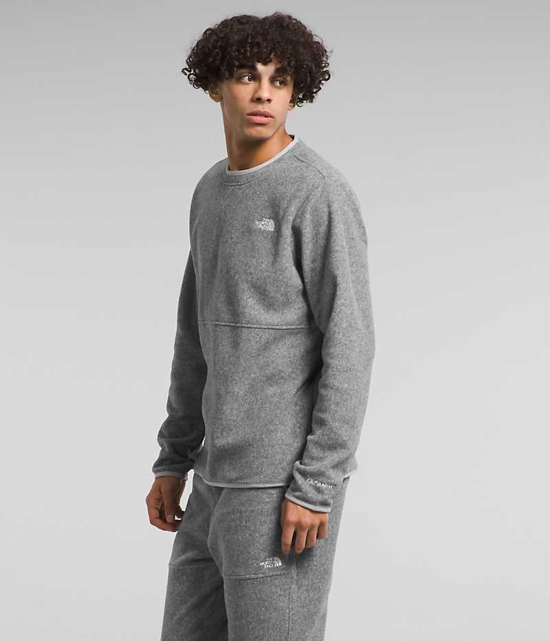 The North Face Alpine Polartec® 100 Crew Sweatshirt Erkek Gri | TÜRKIYE LADF