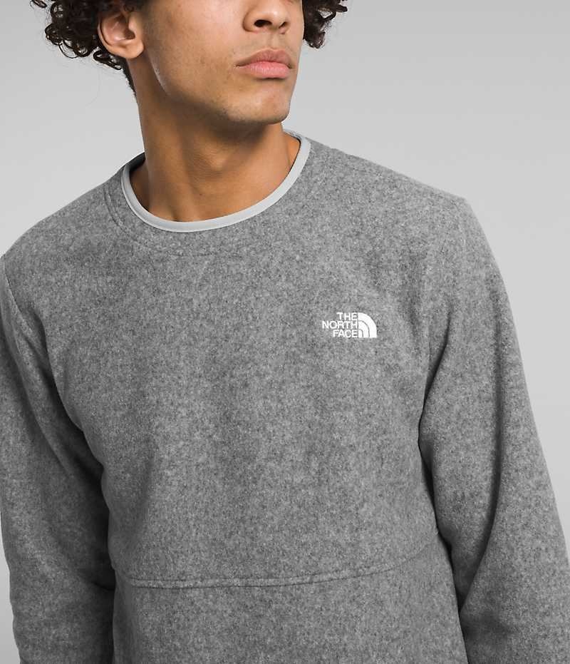 The North Face Alpine Polartec® 100 Crew Sweatshirt Erkek Gri | TÜRKIYE LADF