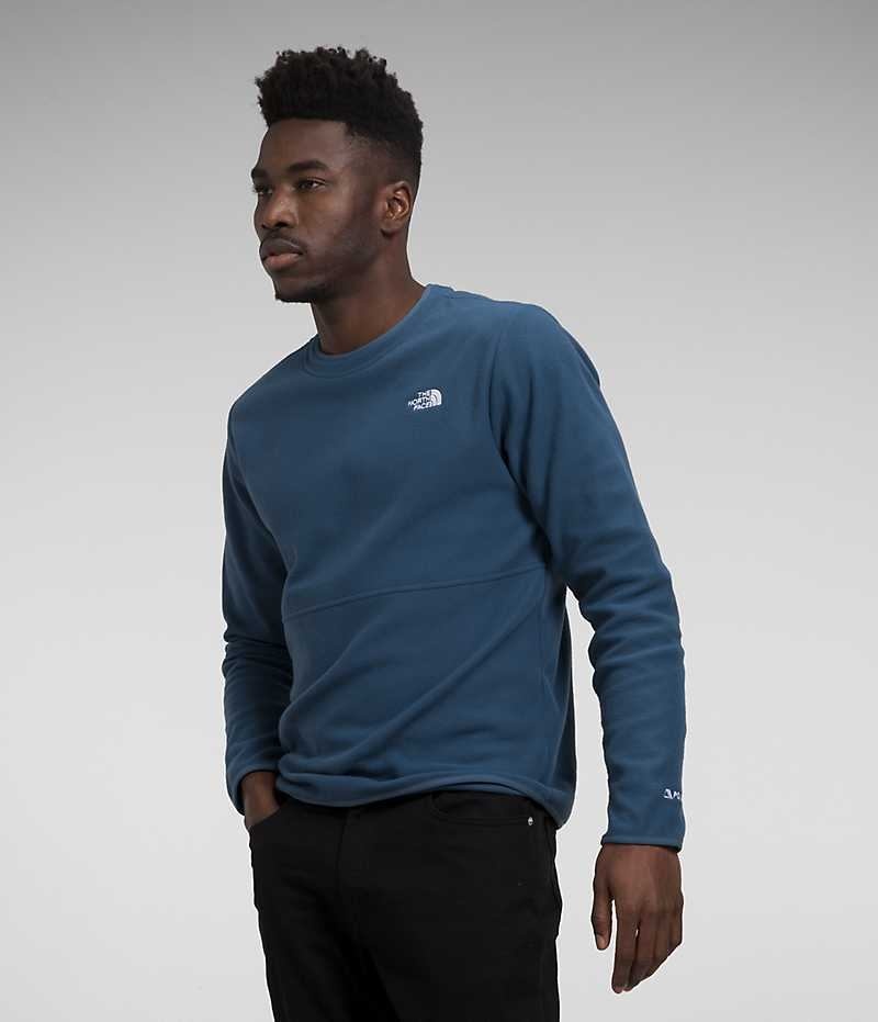 The North Face Alpine Polartec® 100 Crew Sweatshirt Erkek Mavi | ISTANBUL ZHLQ