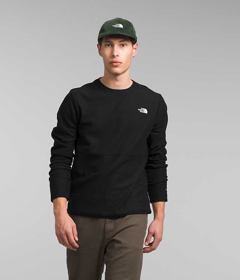 The North Face Alpine Polartec® 100 Crew Sweatshirt Erkek Siyah | TÜRKIYE PUMR