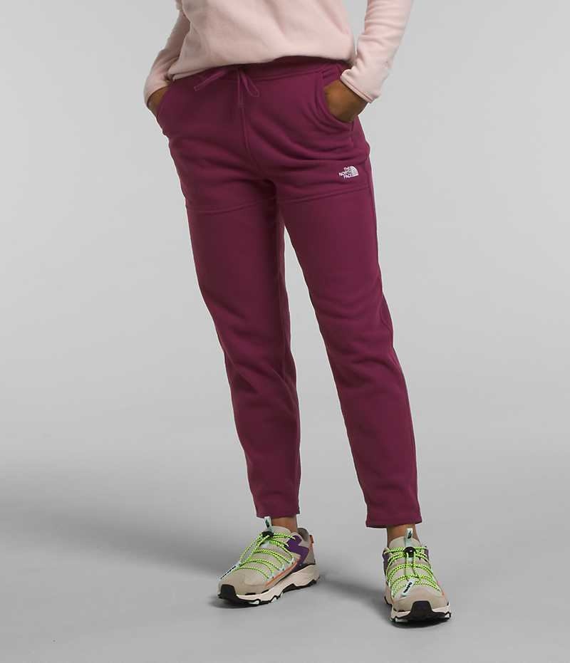 The North Face Alpine Polartec® 100 Polar Pantolon Kadın Bordo | ISTANBUL YDGF