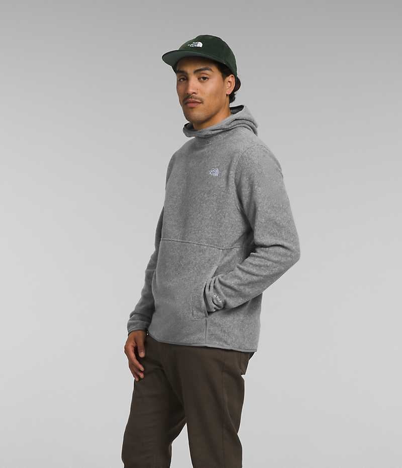 The North Face Alpine Polartec® 100 Sweatshirt Erkek Gri | TÜRKIYE BOEC