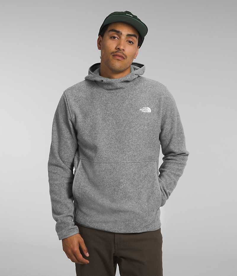 The North Face Alpine Polartec® 100 Sweatshirt Erkek Gri | TÜRKIYE BOEC