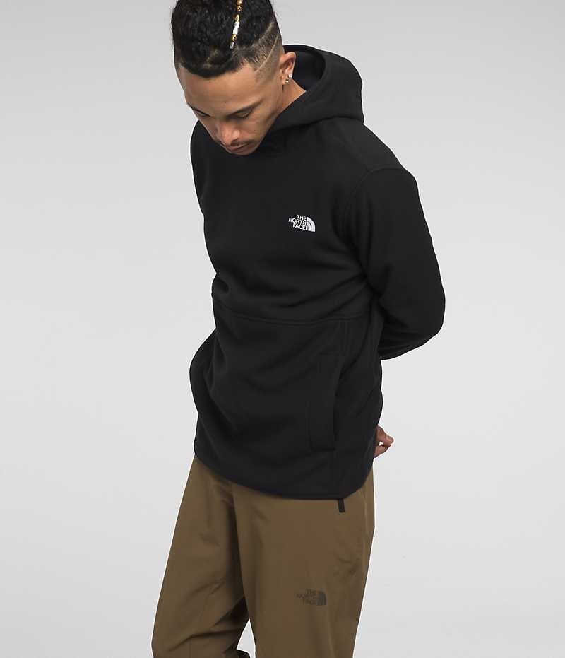 The North Face Alpine Polartec® 100 Sweatshirt Erkek Siyah | TÜRKIYE NUAJ