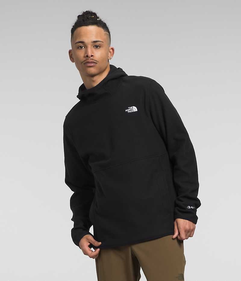 The North Face Alpine Polartec® 100 Sweatshirt Erkek Siyah | TÜRKIYE NUAJ