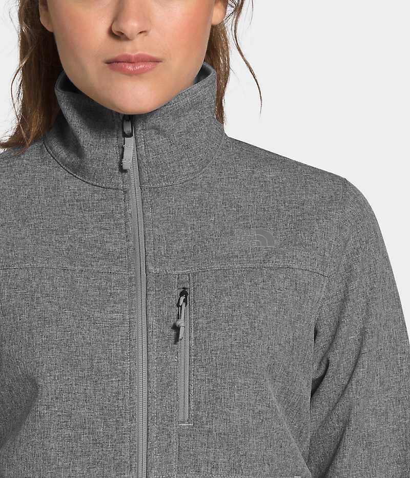 The North Face Apex Bionic Softshell Ceket Kadın Gri | TÜRKIYE HDFL