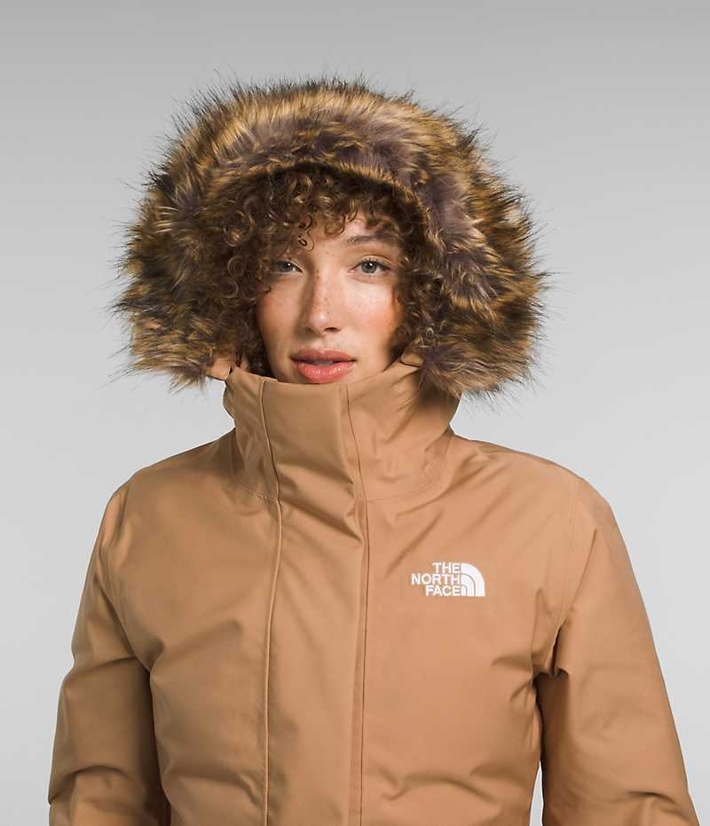 The North Face Arctic Parka Kadın Kahverengi | ISTANBUL UOFQ