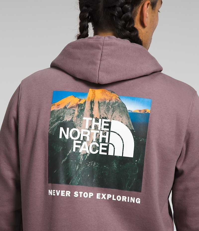 The North Face Box NSE Pullover Kapşonlu Erkek Küpe Çiçeği | TÜRKIYE VOQX