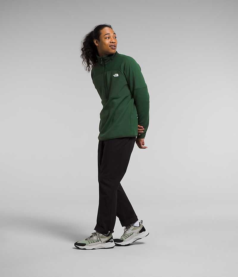 The North Face Canyonlands High Altitude ½-Zip Sweatshirt Erkek Yeşil | TÜRKIYE FHPA