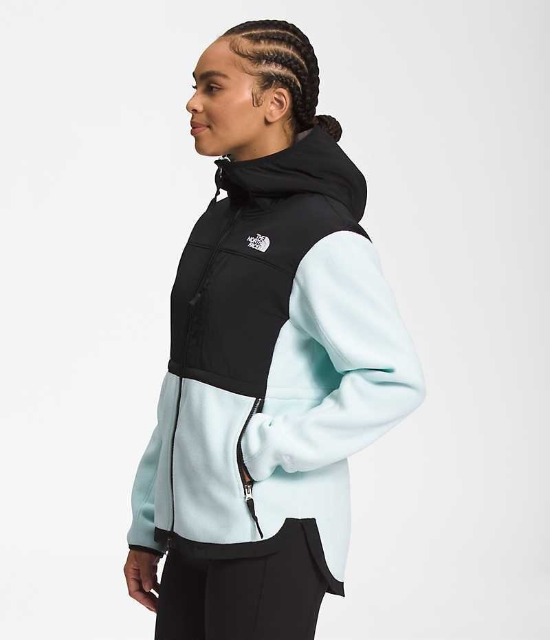 The North Face Denali Hoodie Polar Ceketler Kadın Siyah Turkuaz | ISTANBUL USYM