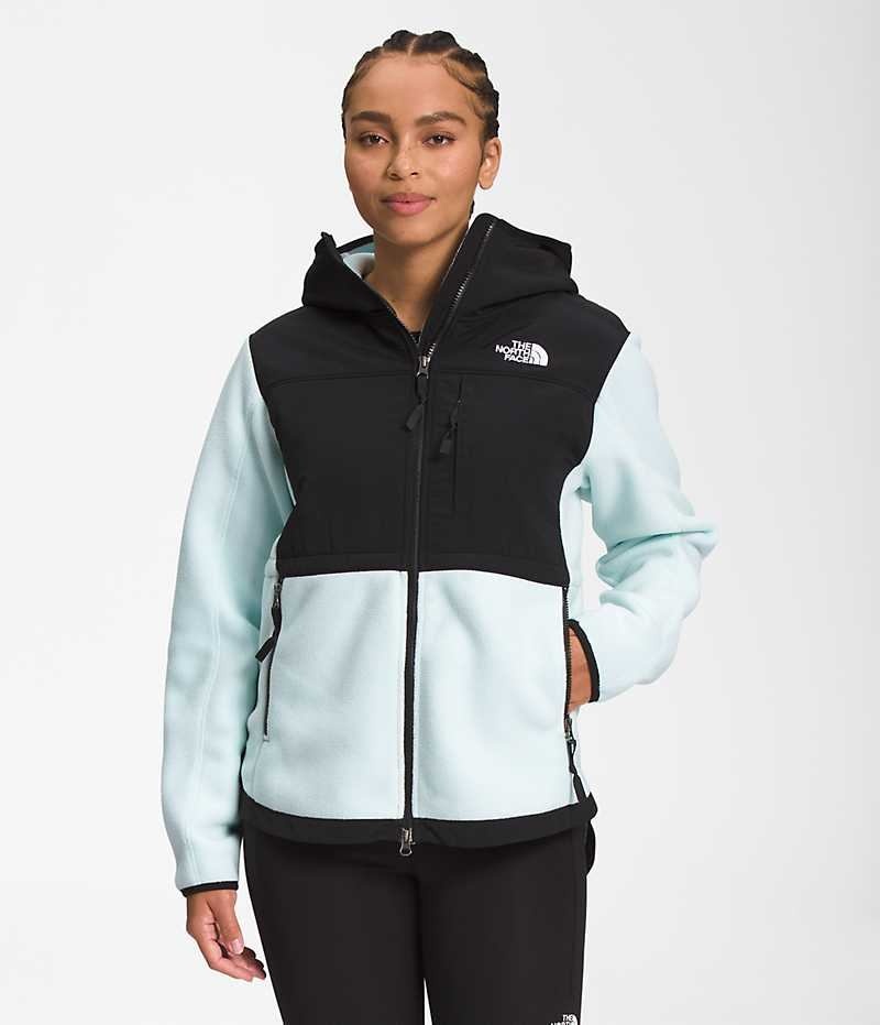 The North Face Denali Hoodie Polar Ceketler Kadın Siyah Turkuaz | ISTANBUL USYM