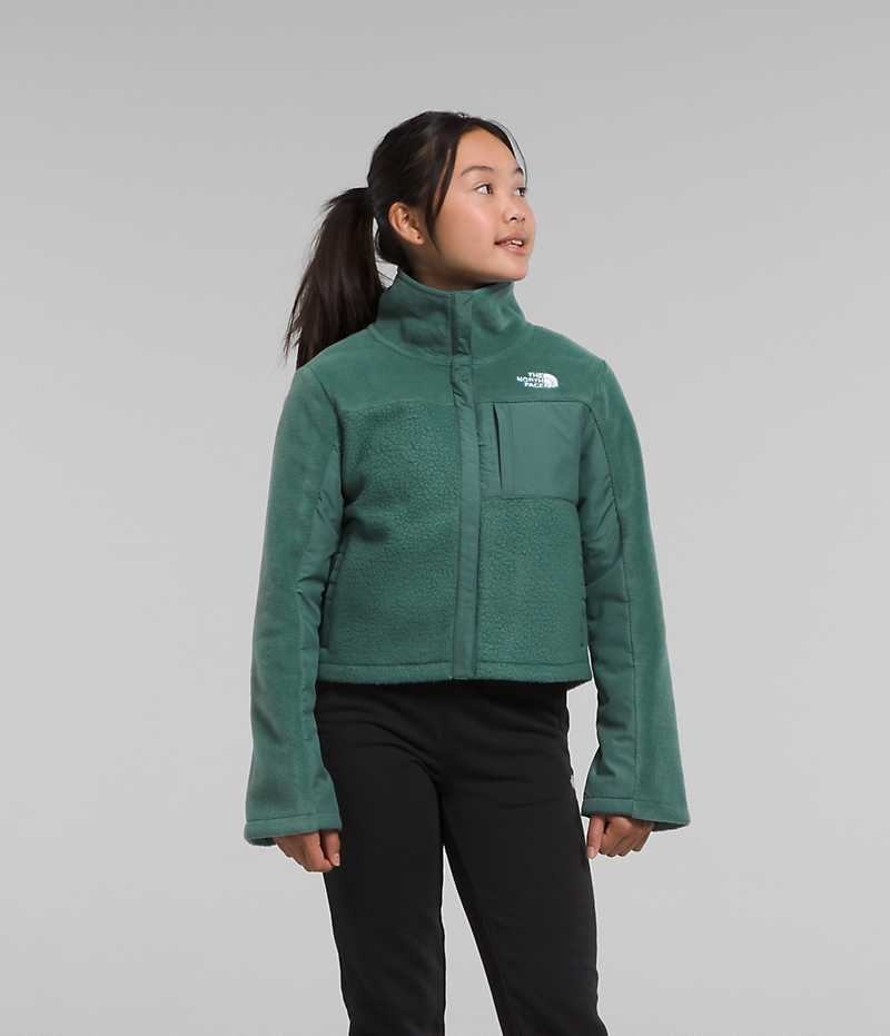 The North Face Fleece Mashup Polar Ceketler Kiz Çocuk Yeşil | TÜRKIYE PBIJ