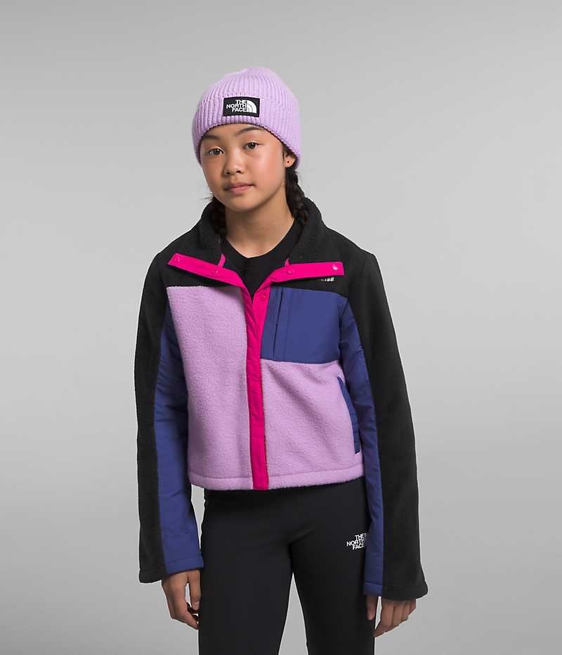 The North Face Fleece Mashup Polar Ceketler Kiz Çocuk Renkli | TÜRKIYE QAHV