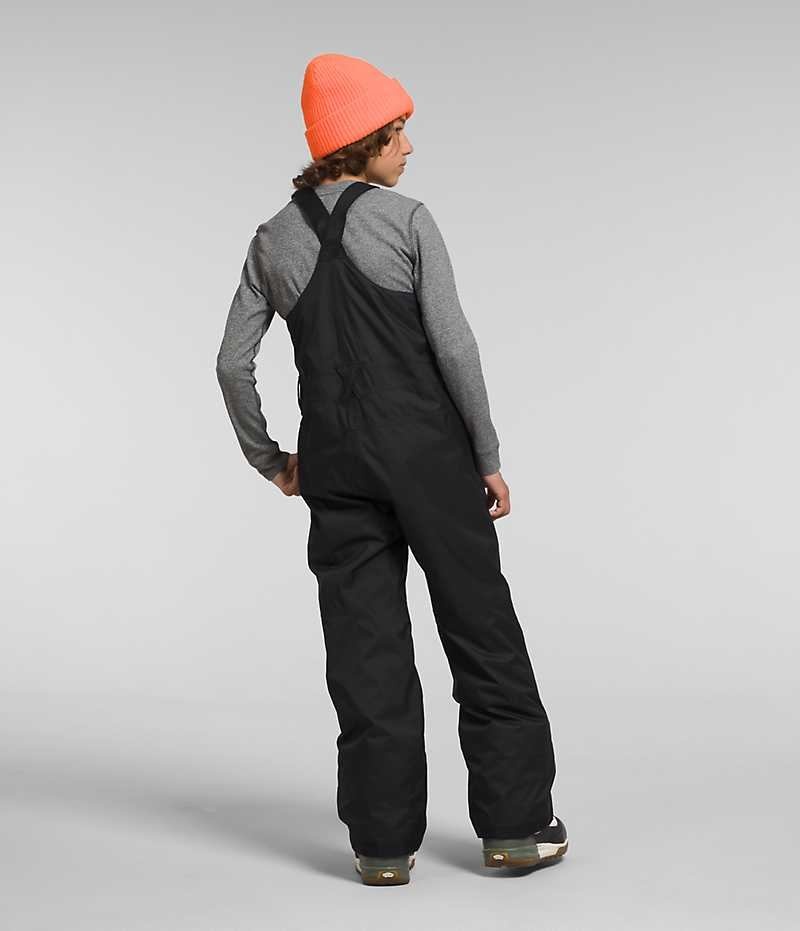 The North Face Freedom Insulated Bib Pantolon Erkek Çocuk Siyah | TÜRKIYE RIZD