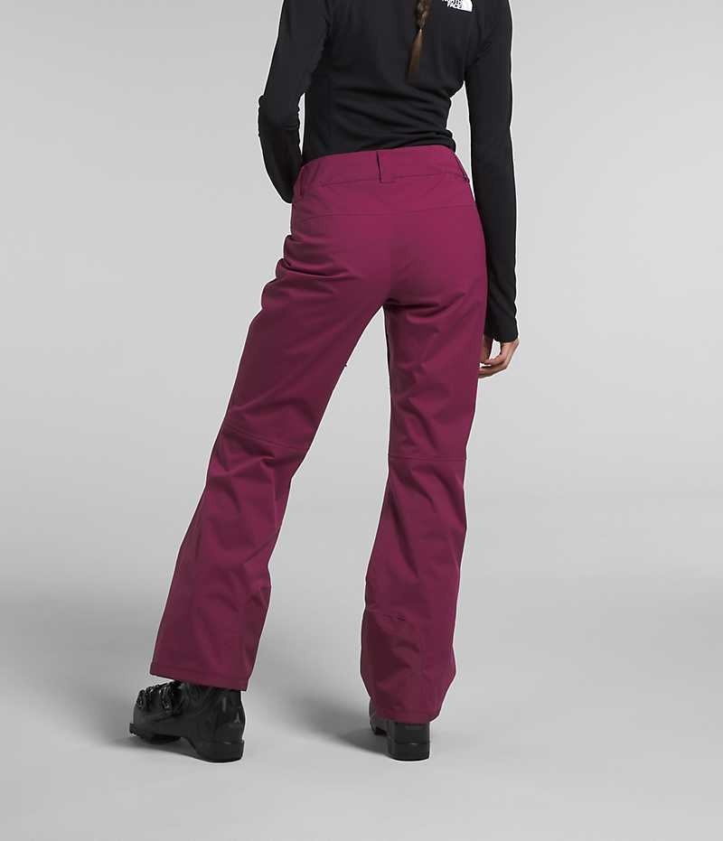 The North Face Freedom Stretch Pantolon Kadın Bordo | ISTANBUL NTWZ