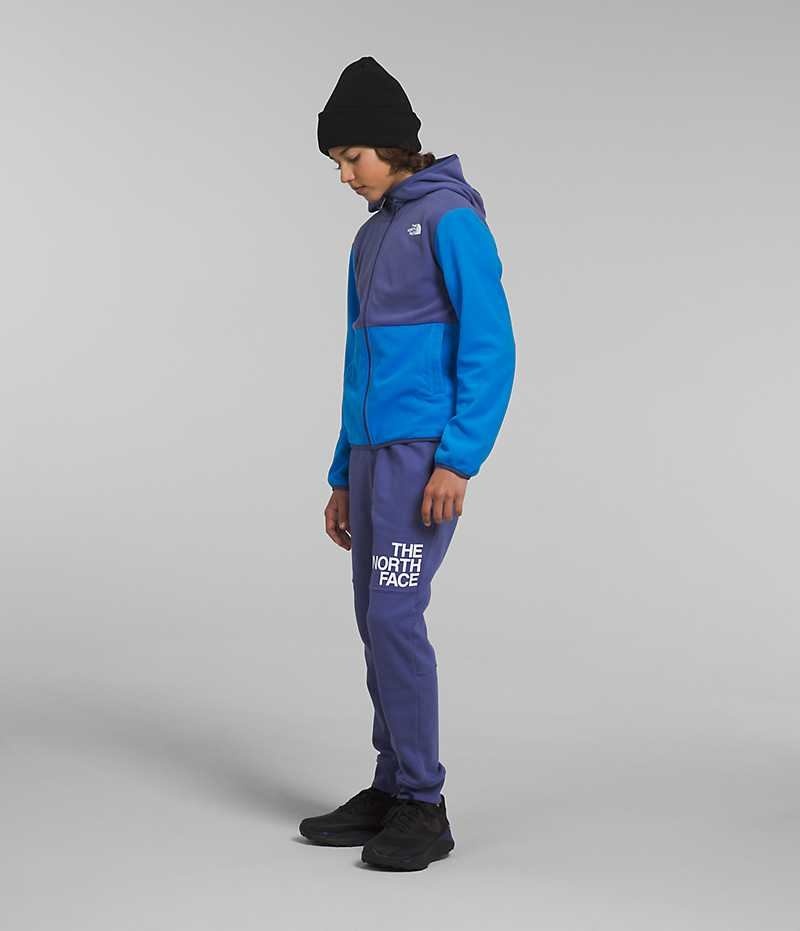 The North Face Glacier Full-Zip Kukuletalı Polar Ceketler Erkek Çocuk Mavi | TÜRKIYE KSXT