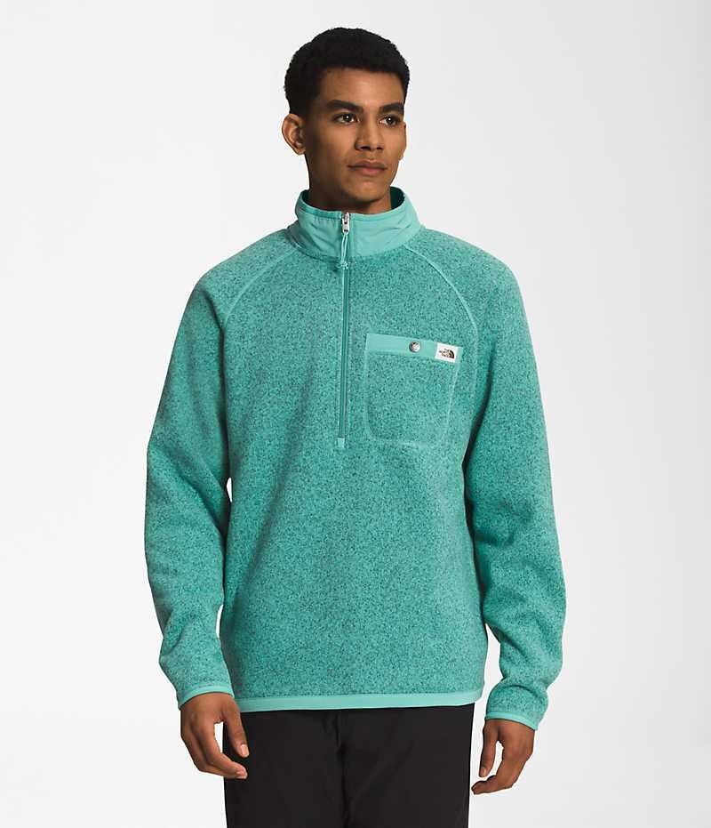 The North Face Gordon Lyons ¼-Zip Sweatshirt Erkek Turkuaz | ISTANBUL JYGF