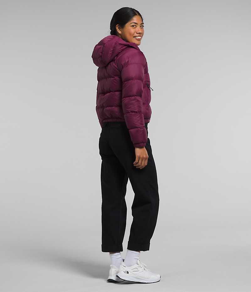 The North Face Hydrenalite™ Aşağı Ceket Kadın Küpe Çiçeği | ISTANBUL LAKZ