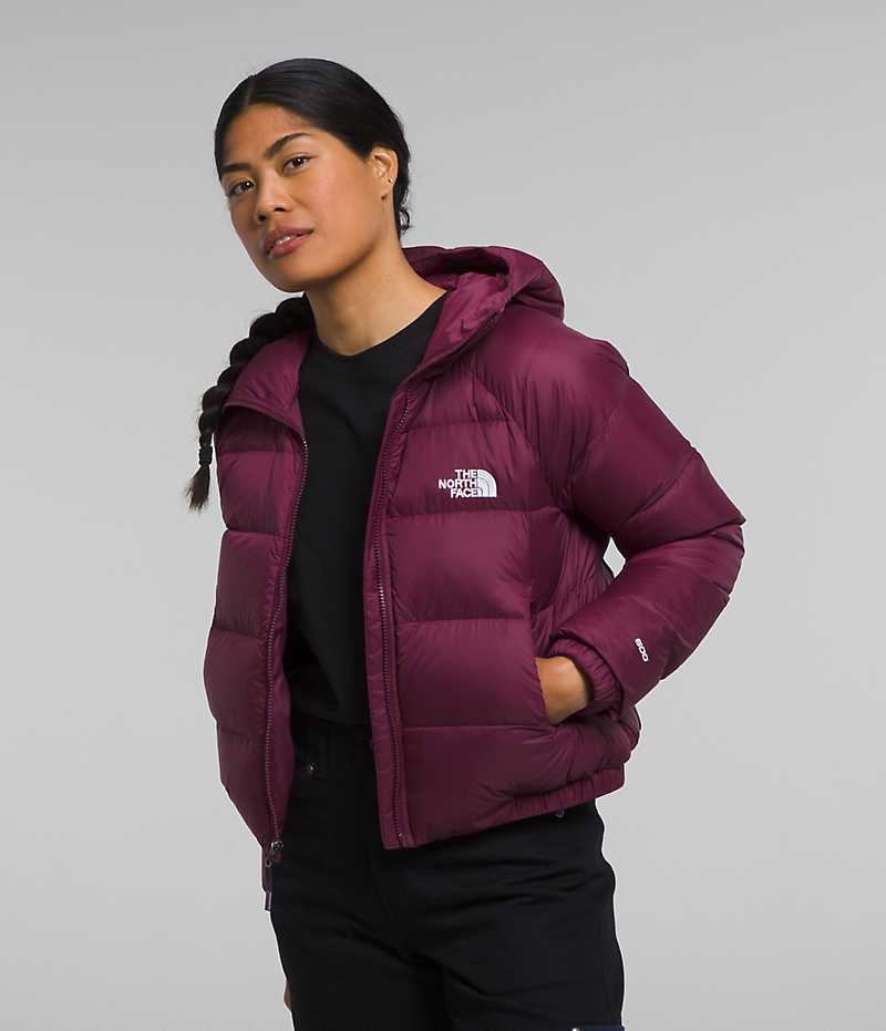 The North Face Hydrenalite™ Aşağı Ceket Kadın Küpe Çiçeği | ISTANBUL LAKZ