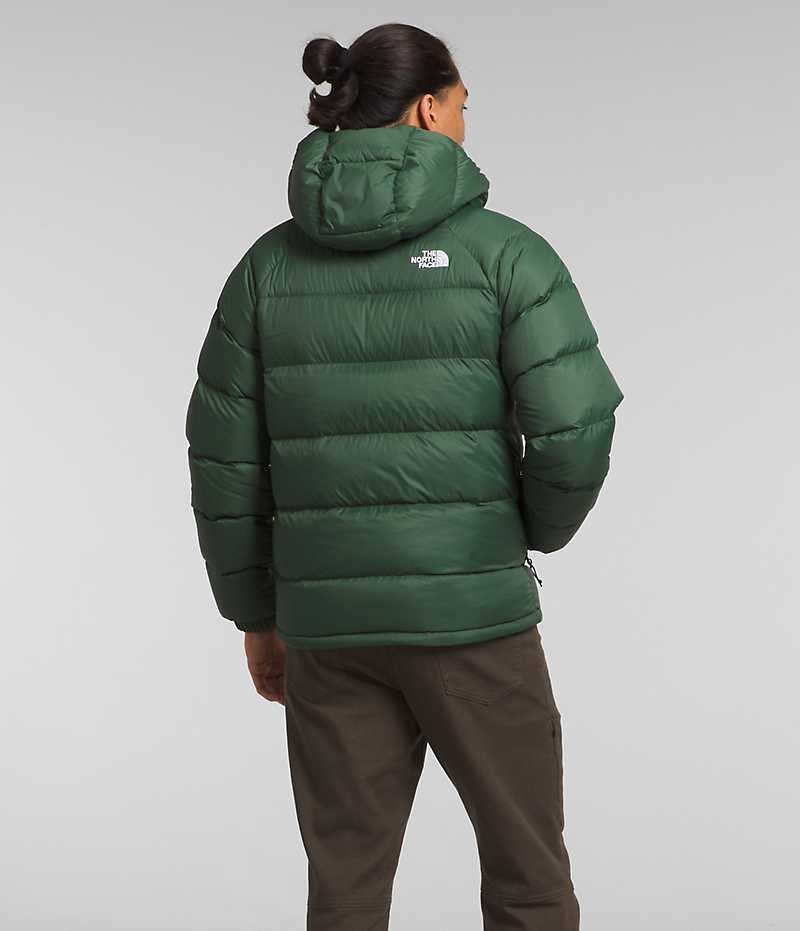 The North Face Hydrenalite™ Hoodie Aşağı Ceket Erkek Yeşil | ISTANBUL OGRQ