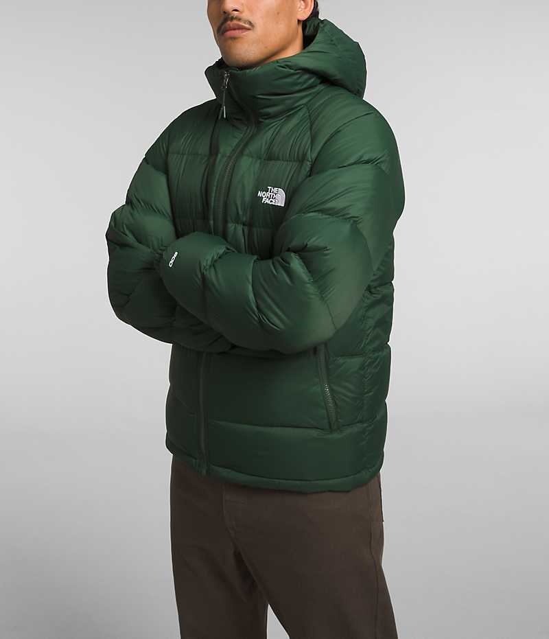 The North Face Hydrenalite™ Hoodie Aşağı Ceket Erkek Yeşil | ISTANBUL OGRQ