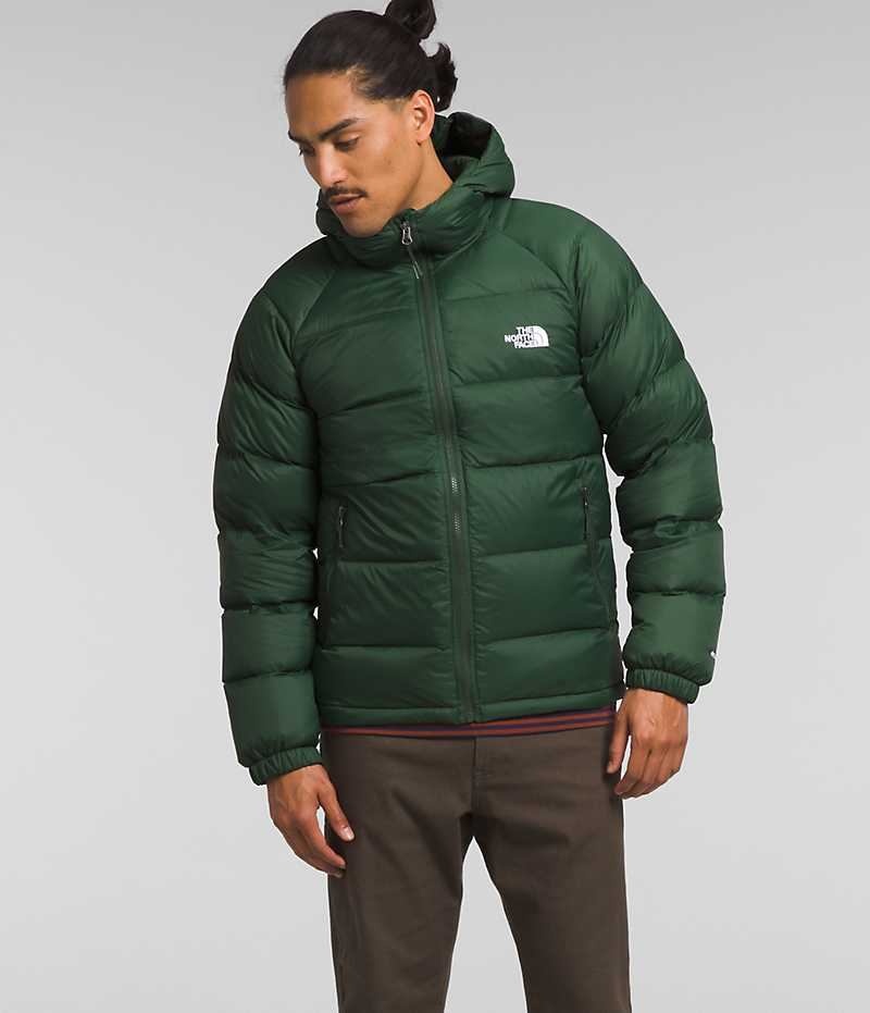 The North Face Hydrenalite™ Hoodie Aşağı Ceket Erkek Yeşil | ISTANBUL OGRQ