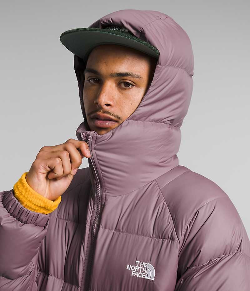 The North Face Hydrenalite™ Hoodie Aşağı Ceket Erkek Küpe Çiçeği | TÜRKIYE HFJM