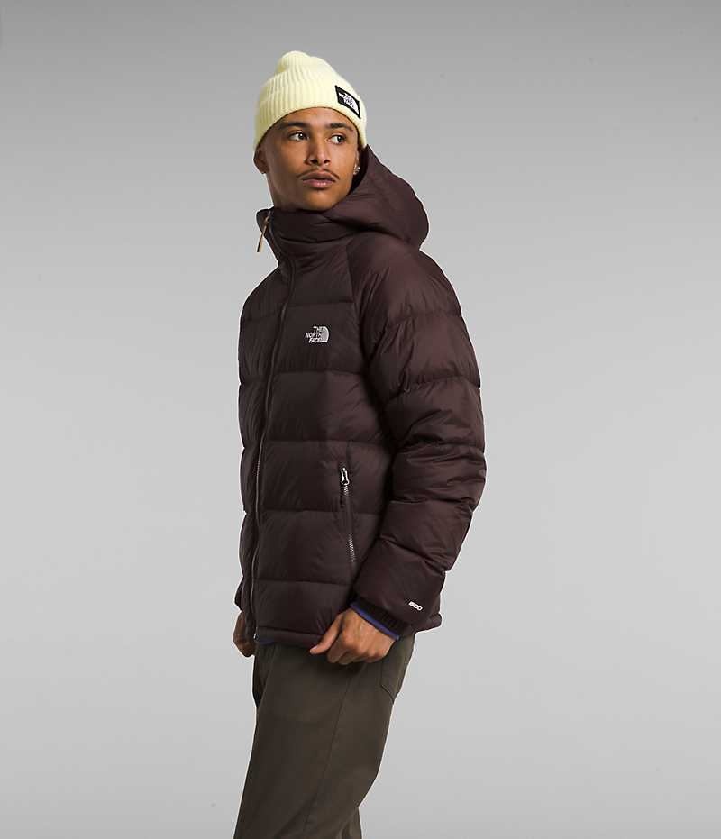 The North Face Hydrenalite™ Hoodie Aşağı Ceket Erkek Bordo | ISTANBUL YVMK