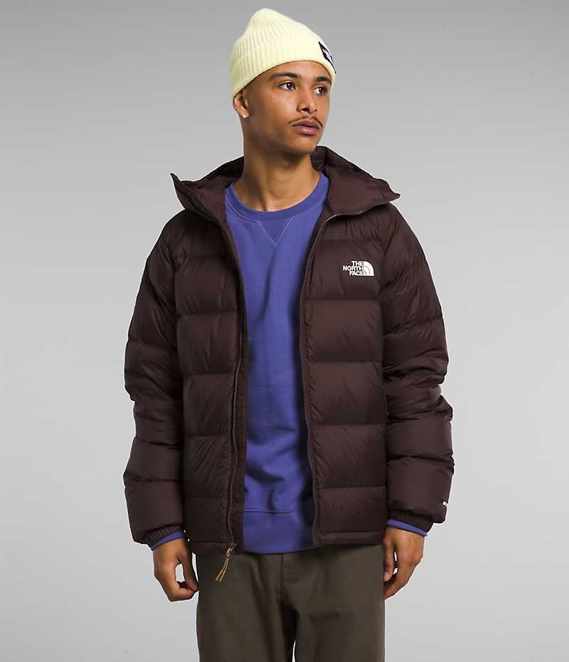 The North Face Hydrenalite™ Hoodie Aşağı Ceket Erkek Bordo | ISTANBUL YVMK