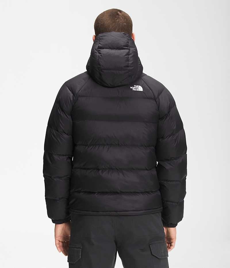 The North Face Hydrenalite™ Hoodie Aşağı Ceket Erkek Siyah | TÜRKIYE SEYK