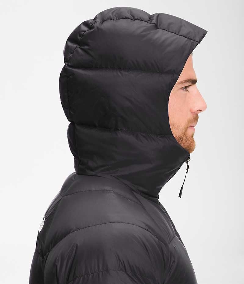 The North Face Hydrenalite™ Hoodie Aşağı Ceket Erkek Siyah | TÜRKIYE SEYK