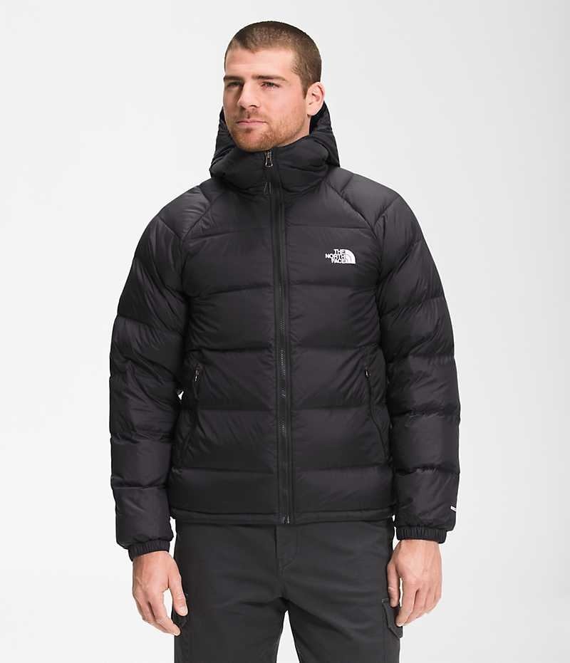 The North Face Hydrenalite™ Hoodie Aşağı Ceket Erkek Siyah | TÜRKIYE SEYK