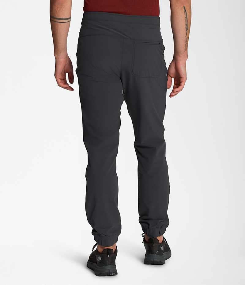 The North Face Paramount Pro Jogger Pantolon Erkek Siyah | TÜRKIYE MESB