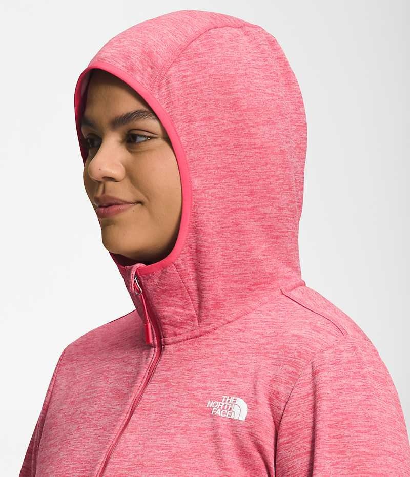 The North Face Plus Canyonlands Hoodie Polar Ceketler Kadın Pembe | TÜRKIYE UDPE