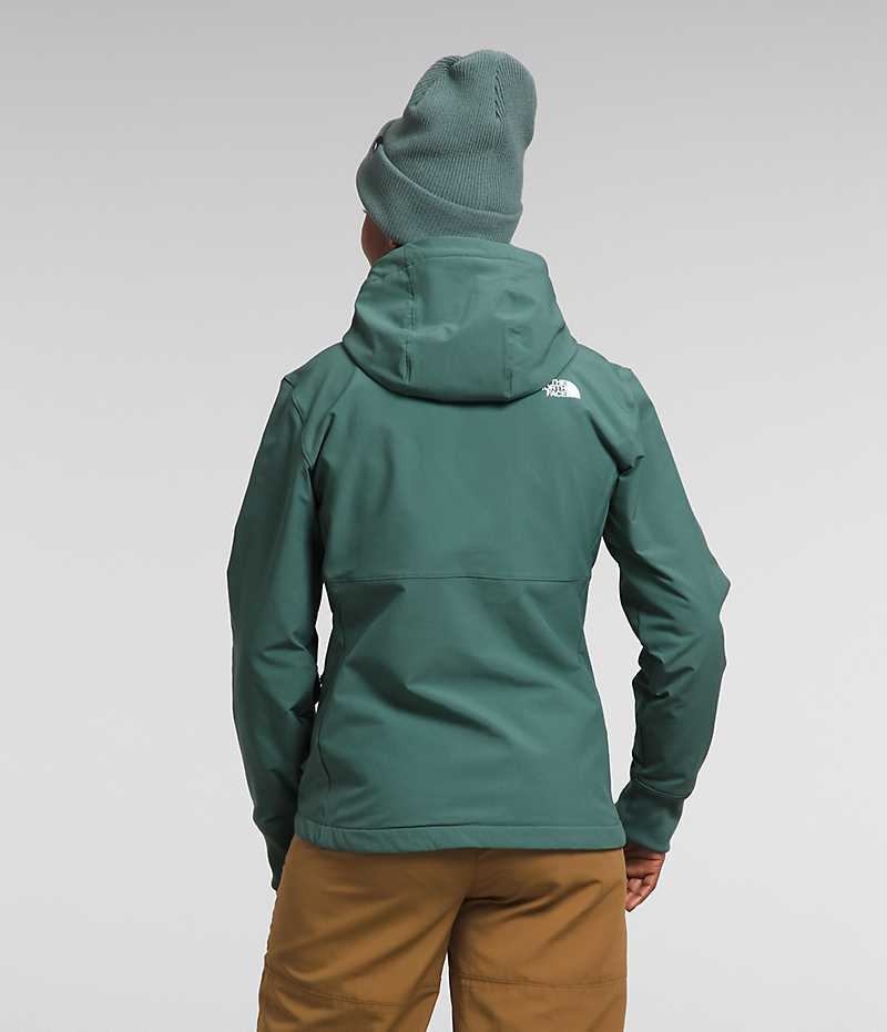 The North Face Shelbe Raschel Hoodie Softshell Ceket Kadın Yeşil | ISTANBUL FJBI